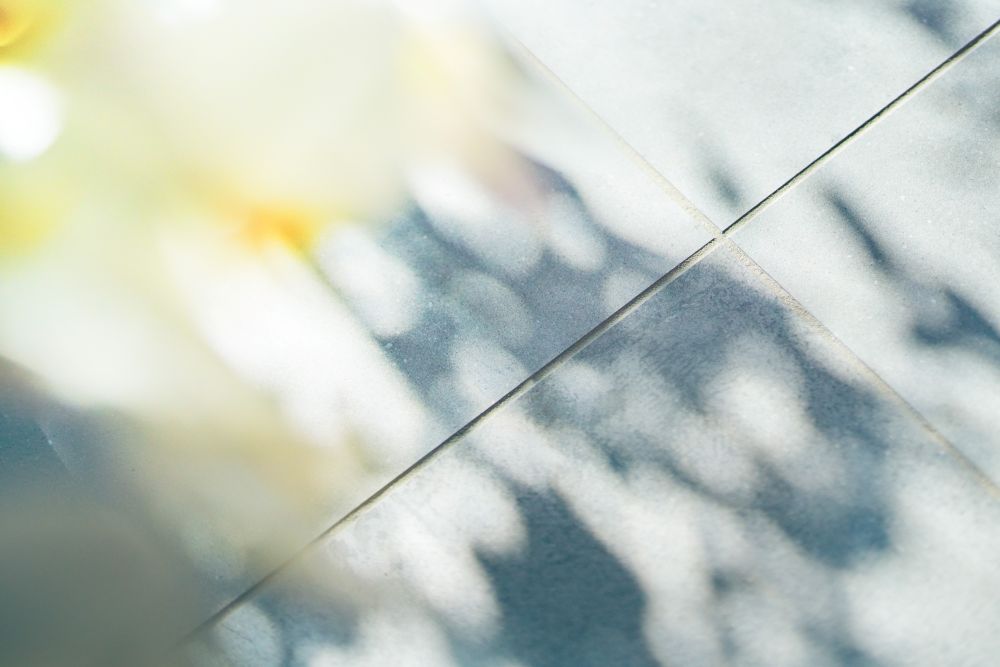 風に揺れる木の影